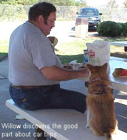 James and Willow at picnic table