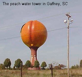 Gaffney peach